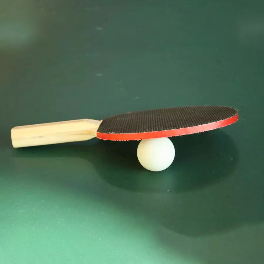 Interesse am Probetraining?